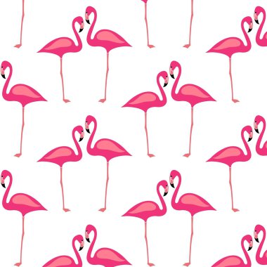 Renkli flamingo desenleri izole edildi