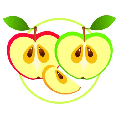vector illustration of green and pink apple isolated on white
