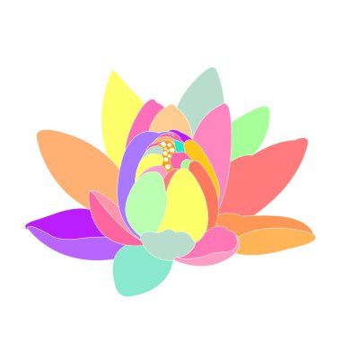 Renkli nilüfer çiçeğinin vektör çizimi 