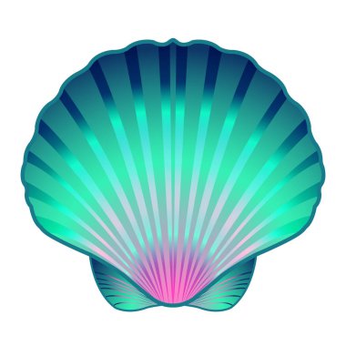 Blue scallop shell isolated on white background