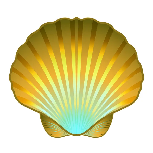 Golden Scallop Shell Isolated White Background — Stock Vector