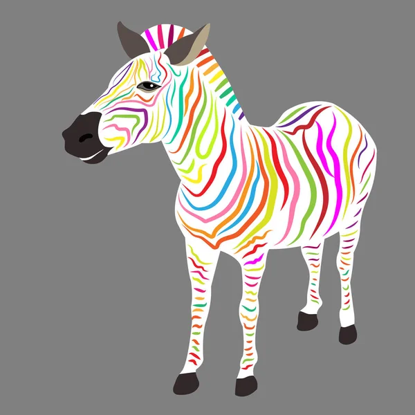 Illustrazione Vettoriale Colorata Bella Zebra — Vettoriale Stock