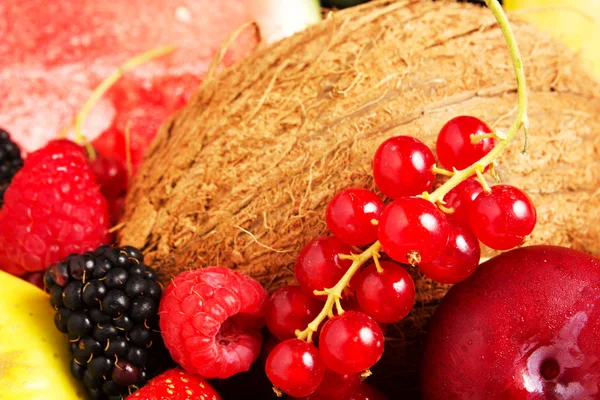 Composition of fruits — Stock Photo, Image