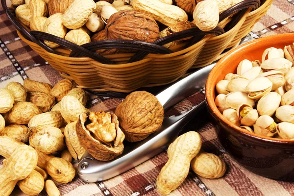 Varieties of nuts — Stock Photo, Image