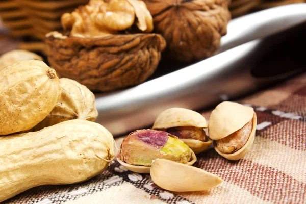 Varieties of nuts — Stock Photo, Image