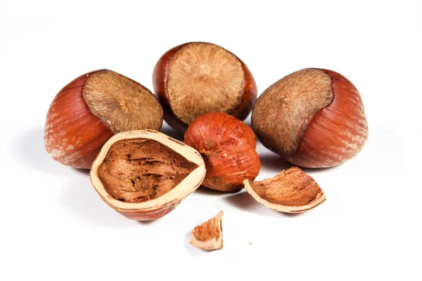 Hazelnuts — Stock Photo, Image