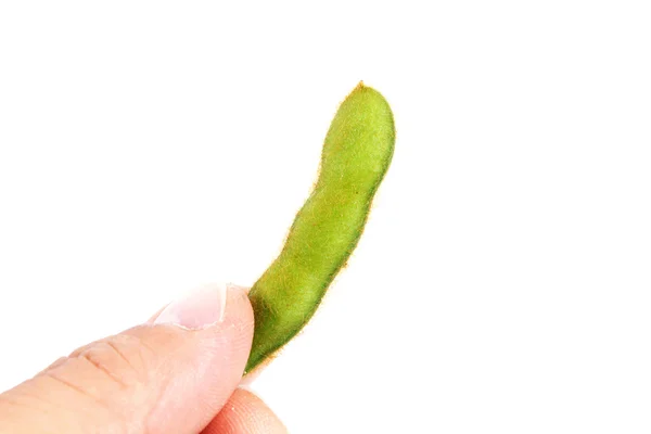 Soy in the hand — Stock Photo, Image