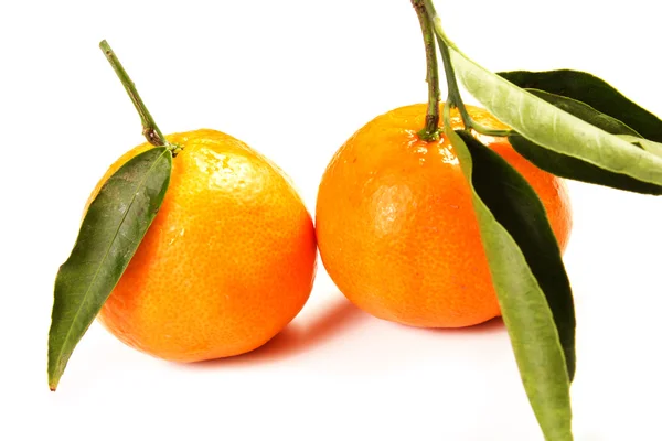 Mandarins — Stock Photo, Image