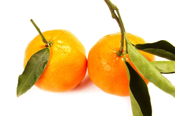 Mandarins — Stock Photo, Image