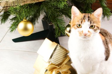 kedi ve topları Noel ağacı