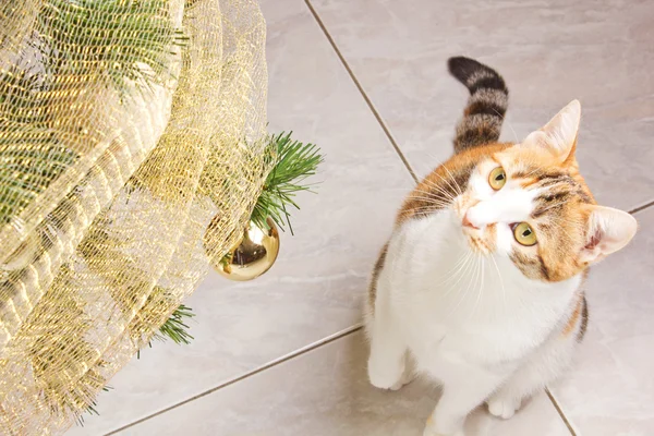 Cat and balls christmas tree — Stock Photo, Image