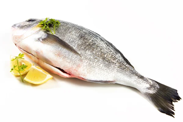 Sea bream — Stock Photo, Image