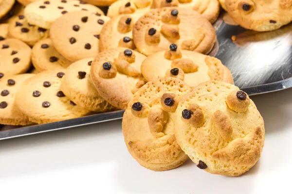 Chocolate cookies — Stock Photo, Image