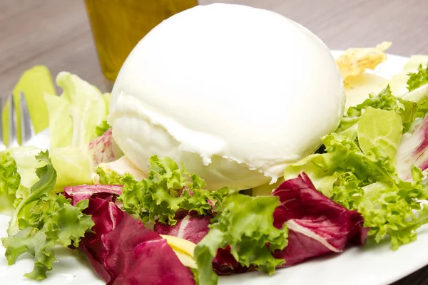 Italian mozzarella and salad — Stock Photo, Image