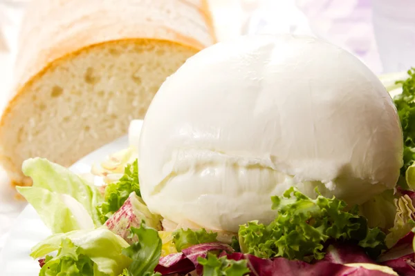 Mozzarella italienne et salade — Photo