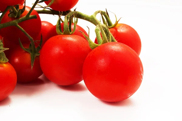 Tomates cereja — Fotografia de Stock