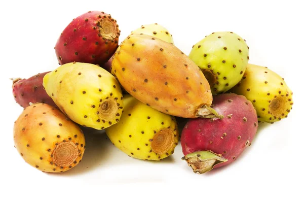 Prickiga päron kaktus Royaltyfria Stockbilder