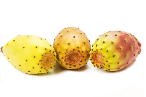 Peras espinosas cactus —  Fotos de Stock