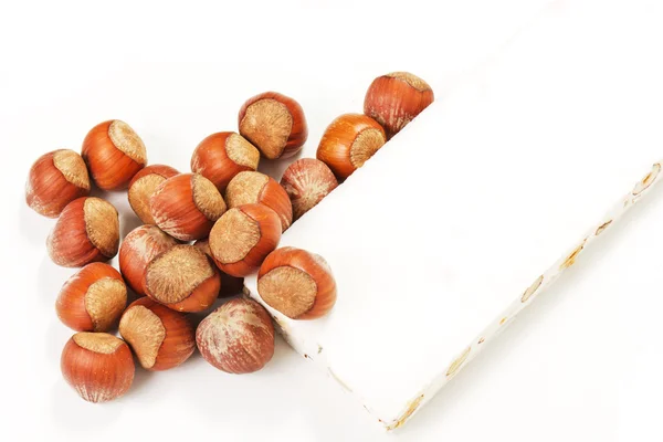 Nugát a lískových ořechů — Stock fotografie