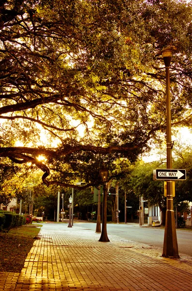 Golden Light on a Sidewalk Royalty Free Stock Images