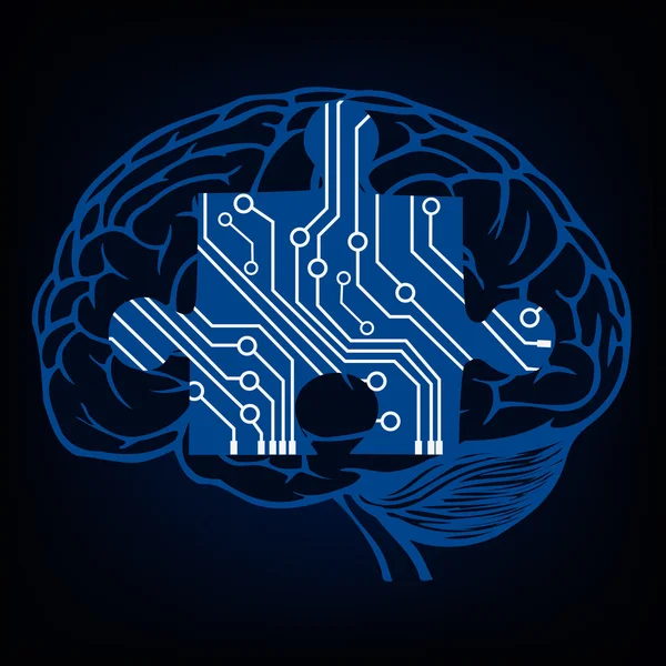 Insan beyni modeli — Stok Vektör