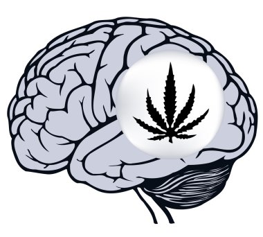 Esrar işareti gri insan beyni