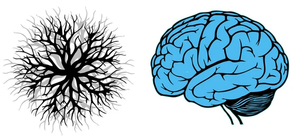 人类的大脑与分支 — 图库矢量图片