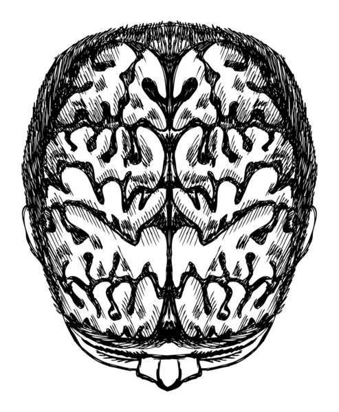 Náčrt lidského mozku maloval čmáranici stylu. stopy po vzoru — Stockový vektor