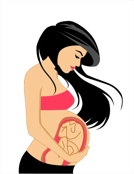 Pregnancy — Stock Vector