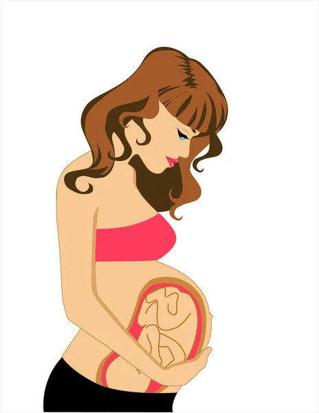 Zwangerschap — Stockvector