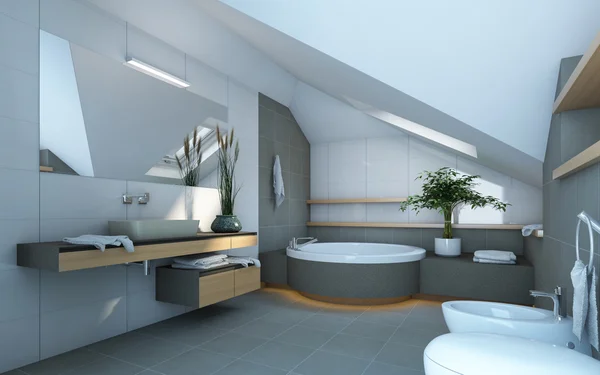 Ванна кімната в сірий і білий кольори Ліцензійні Стокові Фото