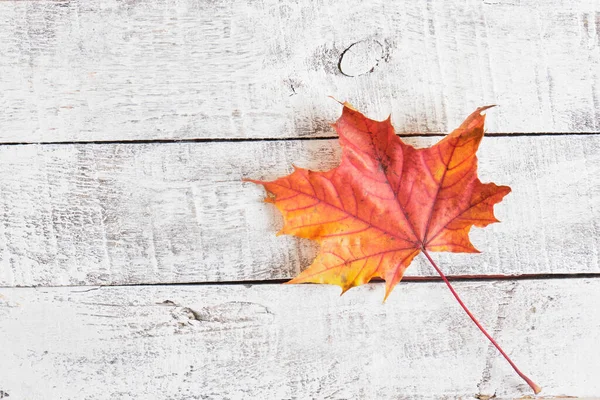 Foglie Acero Autunno Sfondo Legno Sfondo Bordo Legno Vuoto Rustico — Foto Stock