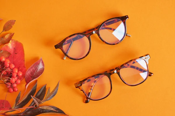 Plusieurs Différentes Lunettes Mode Tendance Yeux Nad Feuilles Automne Rouge — Photo