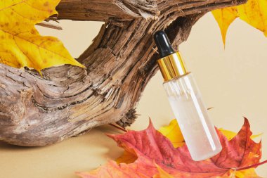Jöle serumu ve kırmızı sonbahar akçaağaç yapraklı damlacık şişesi bej bir zemin üzerinde sürüklenen ağaç dalları ve sonbahar yaprakları, sonbahar mevsiminde cilt ve vücut bakımı
