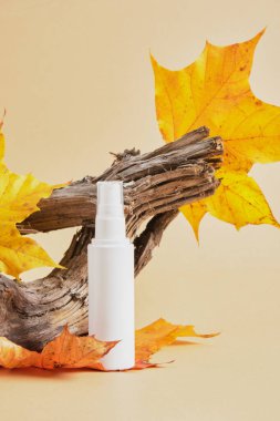 Beyaz, arka planda sürüklenen ağaç dalları ve sonbahar yaprakları, bej arka plan, doğal kozmetik konsepti, sonbahar cilt bakımı için etiketsiz sprey şişesi maketi.
