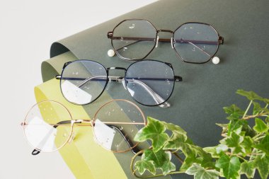 sarılmış yeşil kağıt üzerinde bitki ve göz gözlükleri, görüş testi konsepti, optik mağazasında güzel moda aksesuarları.
