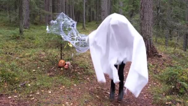 Een Kind Een Wit Laken Het Spelen Van Geesten Halloween — Stockvideo