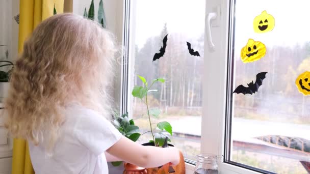 Kleuter Meisje Met Lange Krullend Blond Haar Versiert Het Venster — Stockvideo