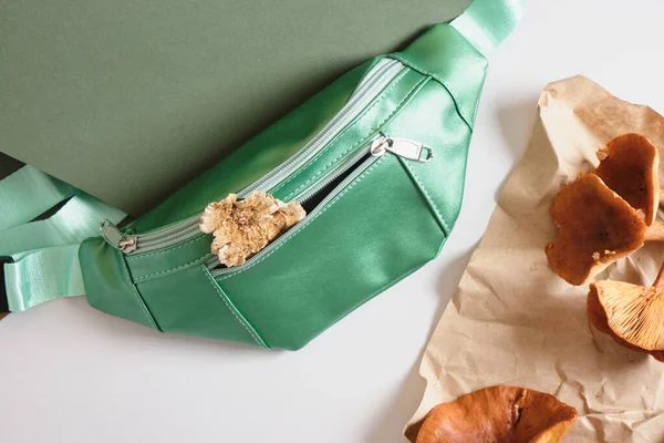 green belt bag and poisonous toadstools on a green and gray background, eco-leather from mushroom mycelium concept, natural textiles, vegan leather from natural recyclable materials