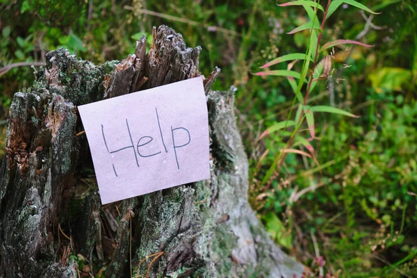 Paper Inscription Help Old Stump Background Grass Deforestation Pollution Nature — Stock Photo, Image