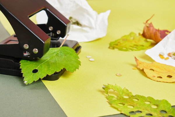 hole punch and leaves for handcrafting party confetti, eco confetti of autumn and fresh leaves, preparation for christmas, zero waste party decor, green background
