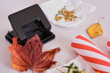 Doğal malzemelerden konfeti, sıfır atık yaşam tarzı konsepti, çevre dostu sonbahar konfetiyi delik delikli bırakıyor, DIY tatil dekorasyonu, noel mesafesi ve dekor