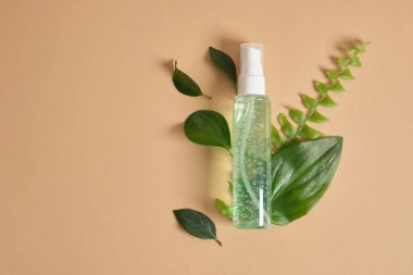 Yeşil jöleli ve taze yapraklı organik plastik şişe. Doğal cilt bakımı konsepti üst görünümü kopyala