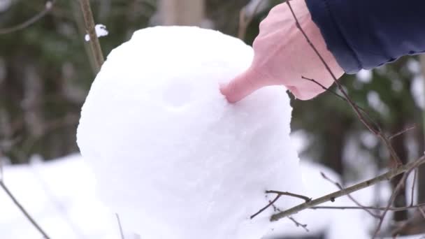 En man ritar en beundrande ansikte på snön, en snöboll klibbar fast vid ett träd med glada ansikte i en vinter kväll skog — Stockvideo