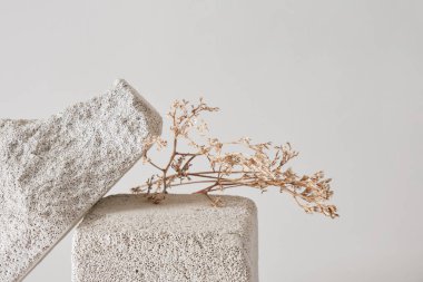 beton podyumlar ve kuru çimenler, ürün sunum konseptiniz için model arka plan, kopyalama alanı şablonu, minimalist ürün gösterimi arka plan