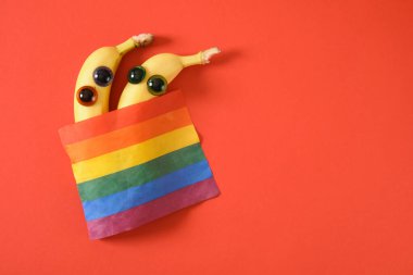 LGBT aşk konsepti. Battaniyenin altında lgbt bayraklı iki tatlı muz. Aşk sembolü kalpler ve sevgililer günü kırmızı arka plan.