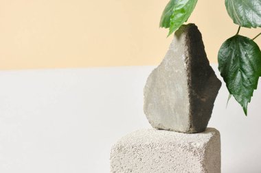 Taşlardan, beton bloklardan ve hafif arkaplandaki yapraklardan oluşan ürün sunumu için sahne, boş şablon, reklam için vitrin