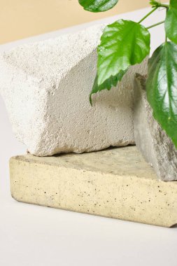 Taşlardan, beton bloklardan ve hafif arkaplandaki yapraklardan oluşan ürün sunumu için sahne, boş şablon, reklam için vitrin