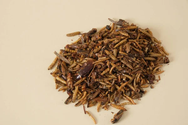 Getrocknete Insekten Zur Tierfütterung Insektenmix Auf Beigem Hintergrund Insektenfressende Tiere Stockfoto