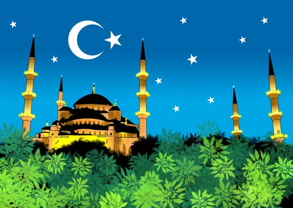 Голубая мечеть Стамбула — стоковое фото